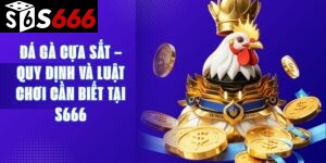 Đá Gà Cựa Sắt – Quy Định Và Luật Chơi Cần Biết Tại S666