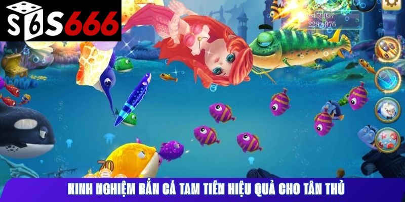 Kinh nghiệm bắn cá Tam Tiên hiệu quả cho tân thủ